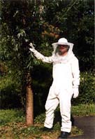 Insektenschutz